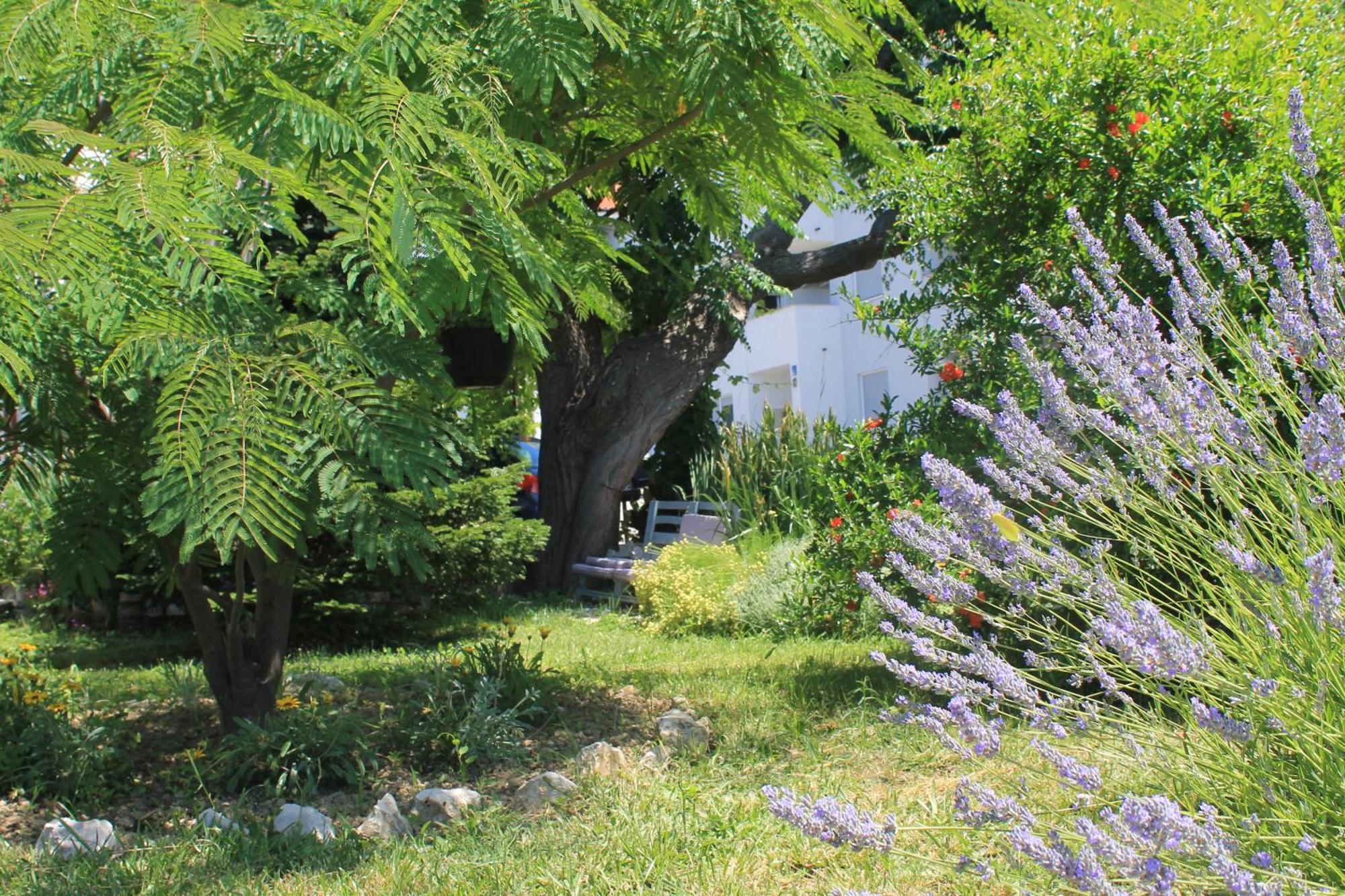 Apartments 501 - Rab Island Oasis Retreat Supetarska Draga Luaran gambar