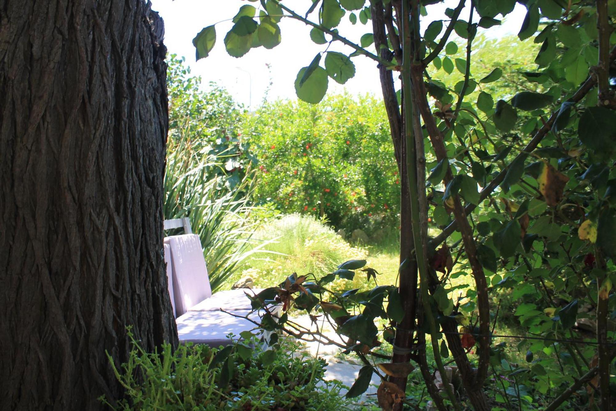 Apartments 501 - Rab Island Oasis Retreat Supetarska Draga Luaran gambar