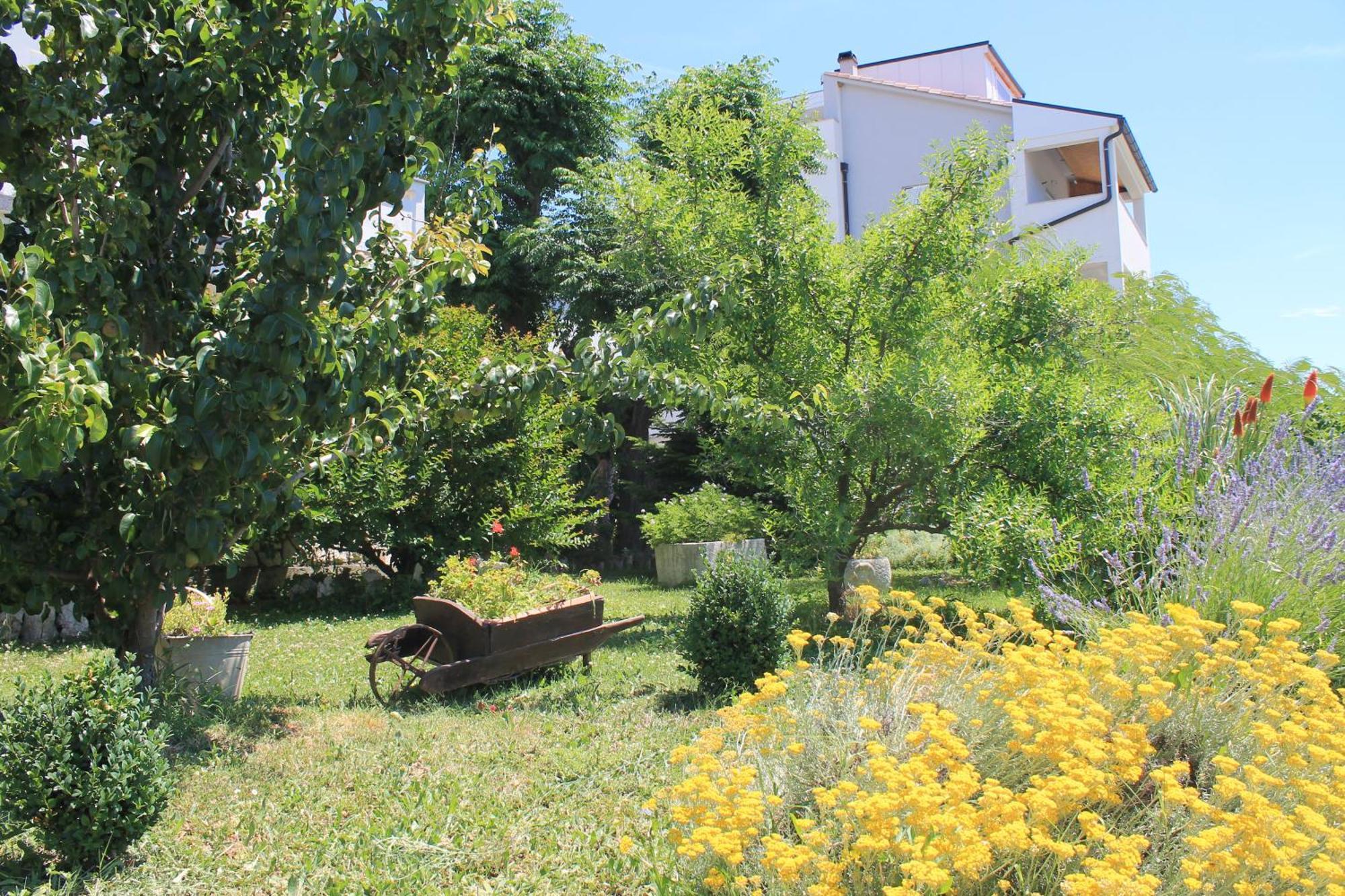 Apartments 501 - Rab Island Oasis Retreat Supetarska Draga Luaran gambar