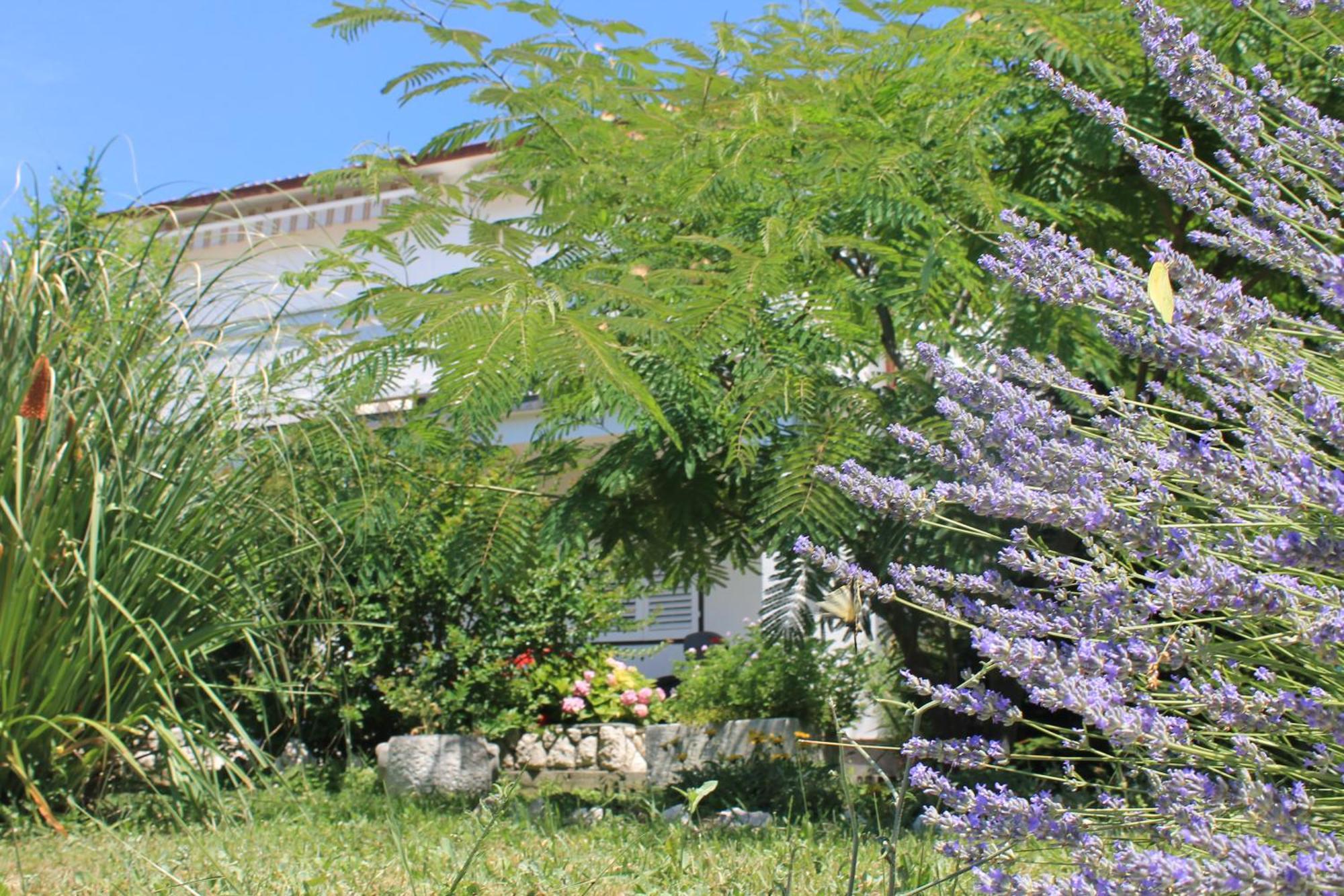 Apartments 501 - Rab Island Oasis Retreat Supetarska Draga Luaran gambar