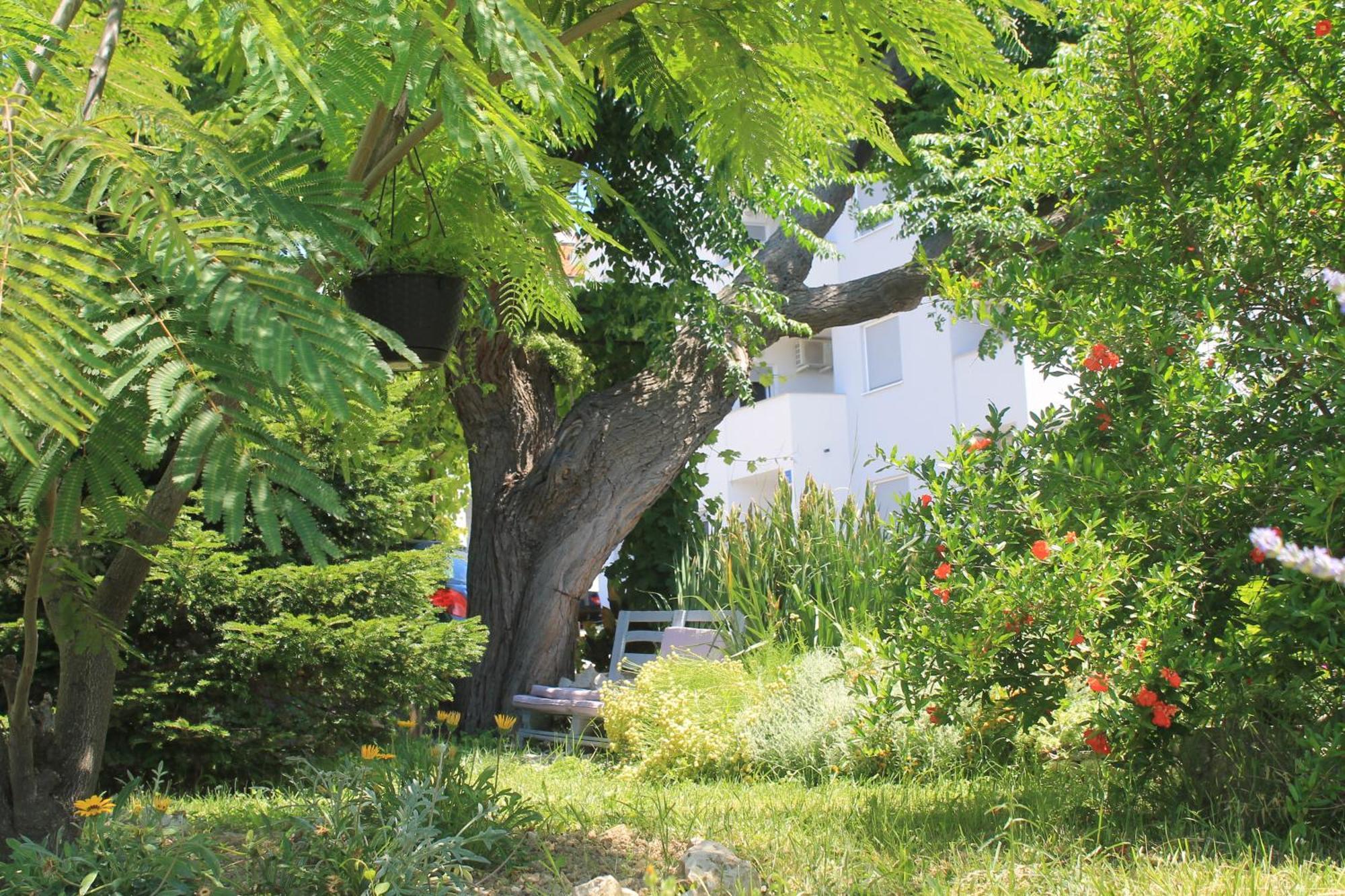 Apartments 501 - Rab Island Oasis Retreat Supetarska Draga Luaran gambar