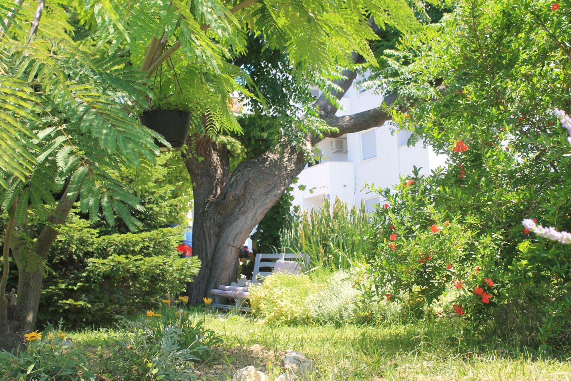 Apartments 501 - Rab Island Oasis Retreat Supetarska Draga Luaran gambar