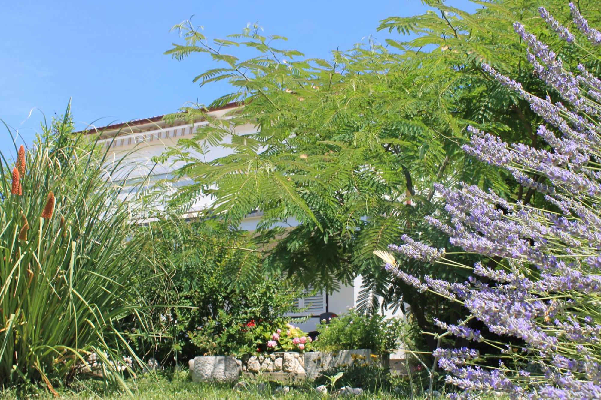 Apartments 501 - Rab Island Oasis Retreat Supetarska Draga Luaran gambar