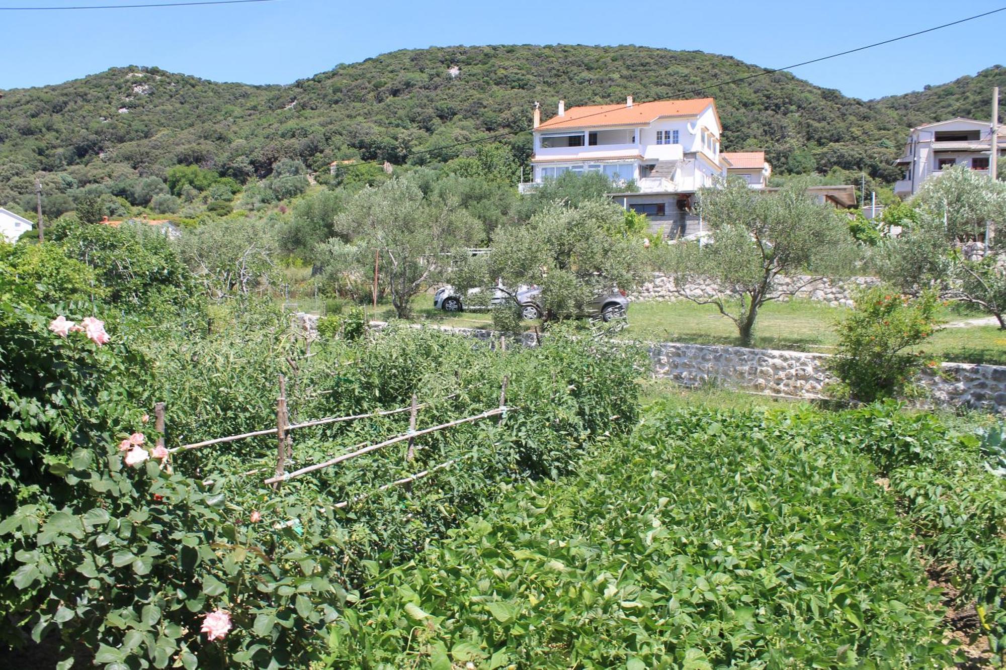 Apartments 501 - Rab Island Oasis Retreat Supetarska Draga Luaran gambar