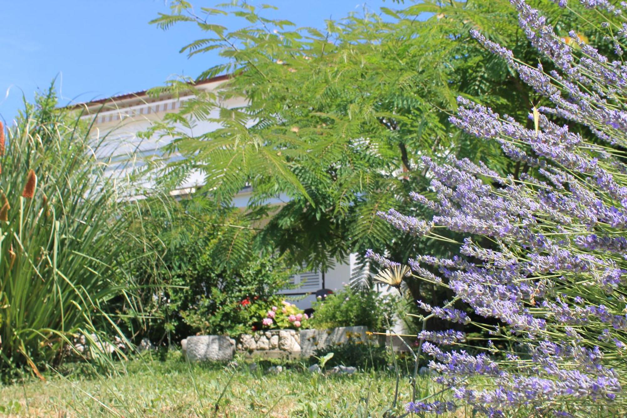 Apartments 501 - Rab Island Oasis Retreat Supetarska Draga Luaran gambar