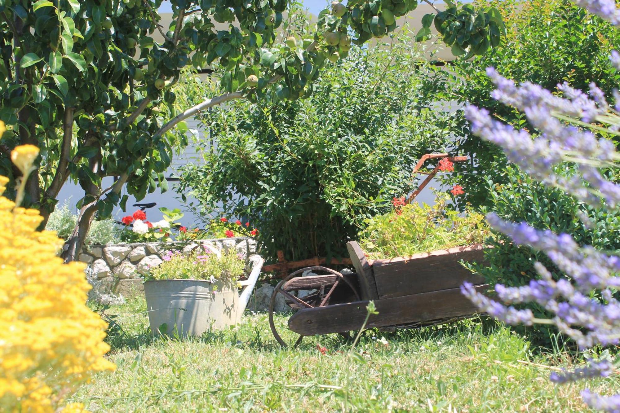 Apartments 501 - Rab Island Oasis Retreat Supetarska Draga Luaran gambar